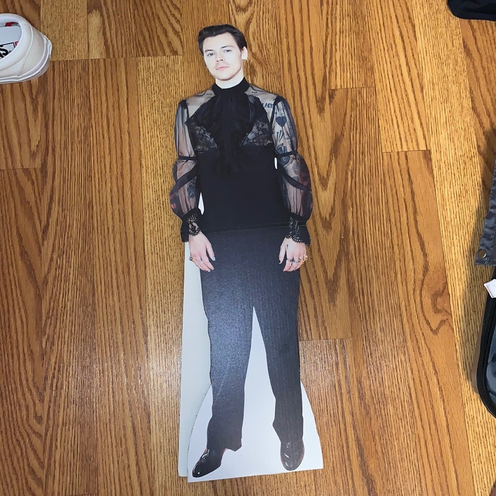HARRY STYLES CELEBRITY CUT OUT